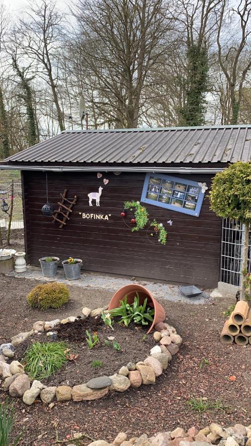 Ferienwohnung Im Park 1 Lenschow Eksteriør bilde