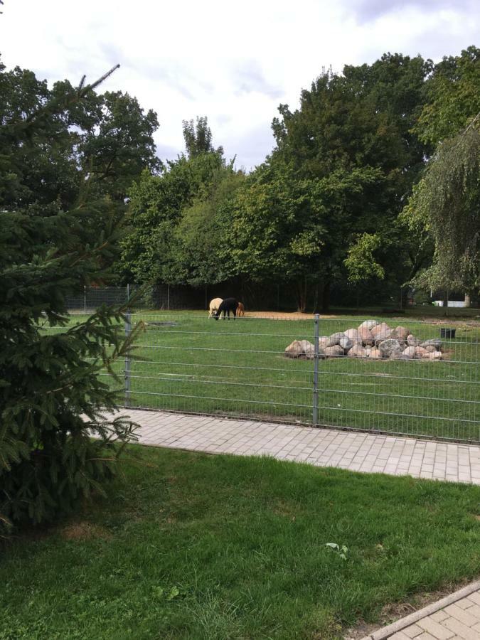 Ferienwohnung Im Park 1 Lenschow Eksteriør bilde