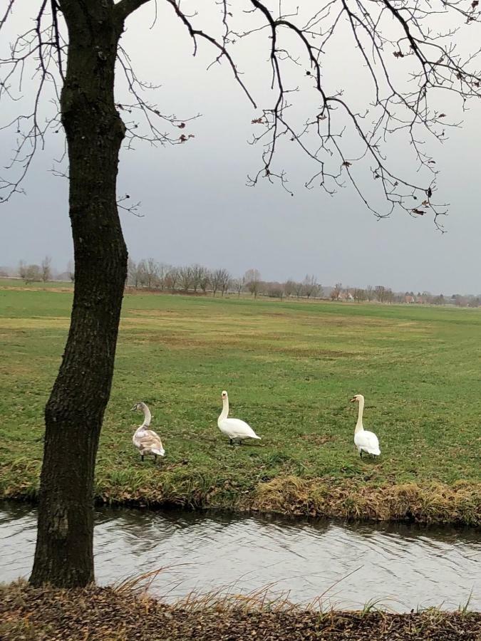 Ferienwohnung Im Park 1 Lenschow Eksteriør bilde